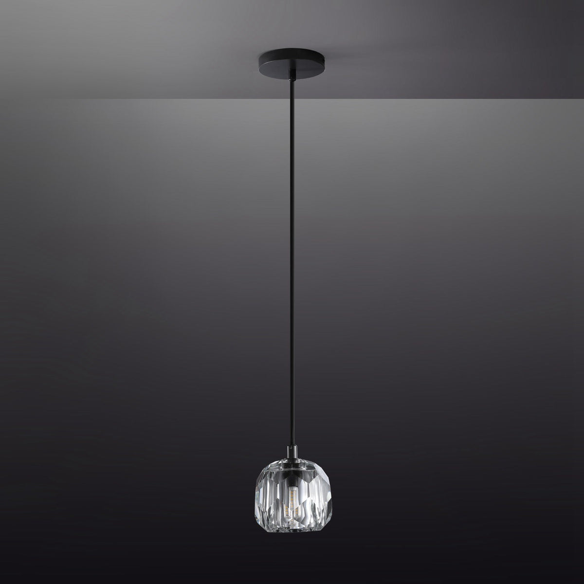 Boule De Clear/Smoke Glass Cord Pendant Light